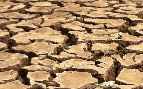 天氣干旱請節(jié)約用水倡議書范文(通用9篇)