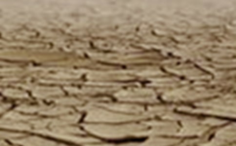 ������λ�Į���͸ɺ��ջ��(d��ng)����