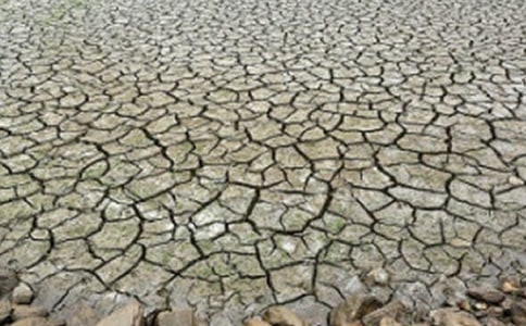 ᘌ�(du��)�G���ɺ��B(y��ng)�o(h��)�������ģ�ͨ��12ƪ��