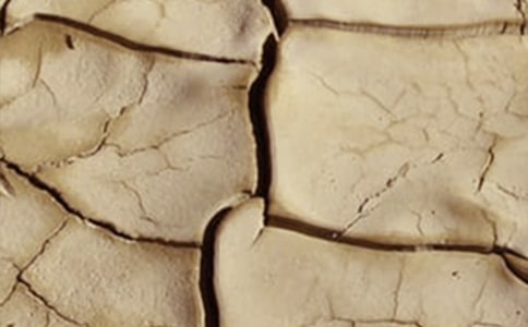 ᘌ��G���ɺ��B(y��ng)�o���������x7ƪ��