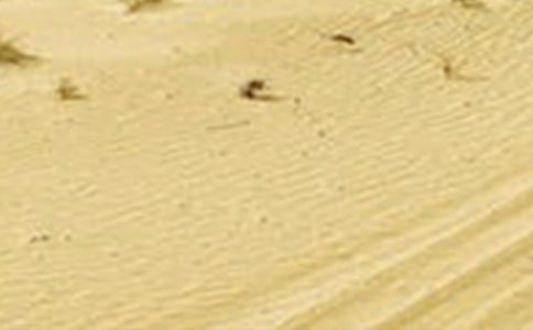 �ɺ���ˮ����