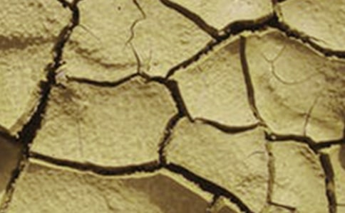 ������λ�Į���͸ɺ������}