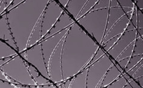 鋼鐵是怎么煉成的讀后感800字