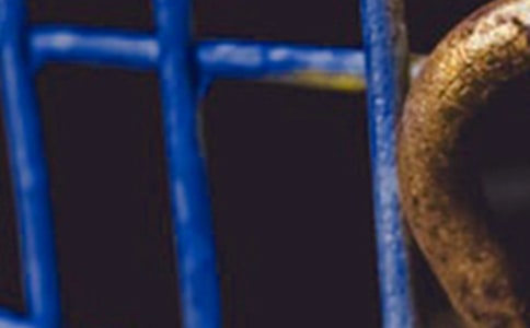 �^����F��־�^���15ƪ�����]��