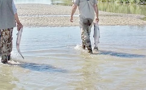 ���؂䡿�ҵ��F�炃����15ƪ