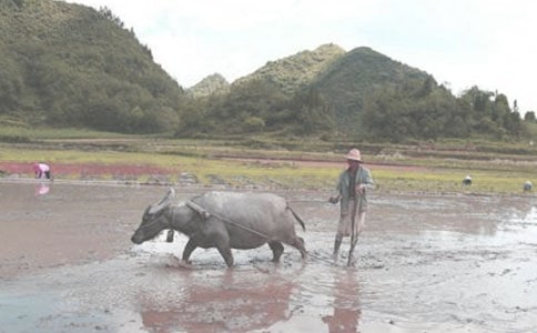 ��˴����Ĺ���