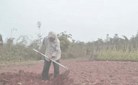 ţ�����Ɂ����g���f 