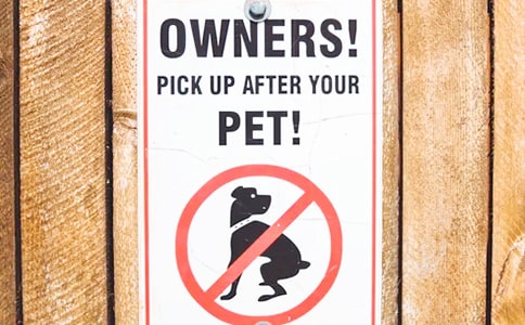 �����A����܇���u����