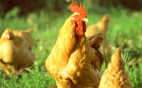 ���u����