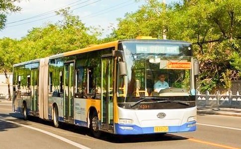 擠公交車的作文