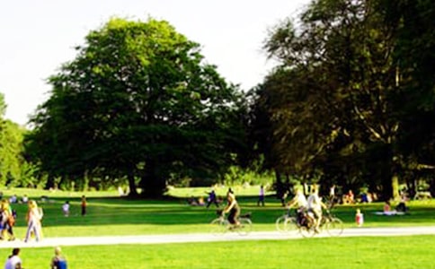 С�W���Ŀ��D��Ԓ�����@