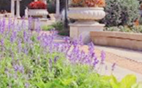 �ΞI�����@