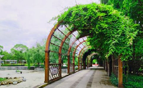 �����Ĺ��@���ģ����x15ƪ��