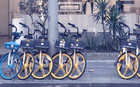 �����܇����(ͨ��15ƪ)