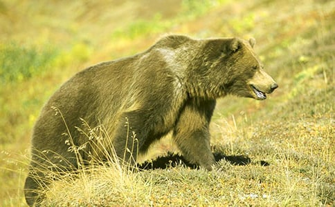 ���x��������500��3ƪ