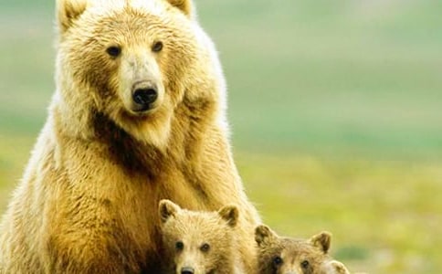 ���ܵ�����