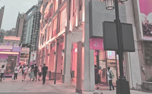 《時(shí)代廣場的蟋蟀》讀后感匯編11篇