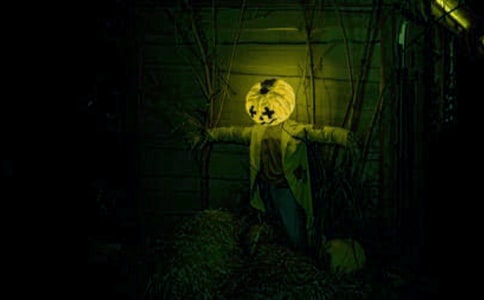 ���ݚv�U(xi��n)���ľ��x��15ƪ��