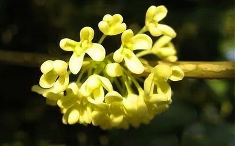 �茑�𻨵�Ԋ(sh��)��15ƪ