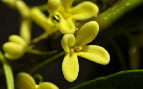 �茑(xi��)�𻨵�Ԋ(sh��)�䡾�ϼ�15ƪ��