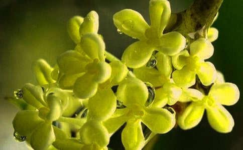 �茑�����õ�Ԋ��