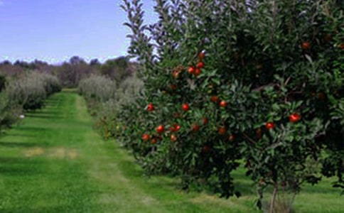 ���@�L������6ƪ��ͨ�ã�