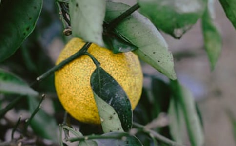 �����Ĺ��@����14ƪ�����A��