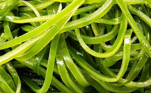 �����躣������