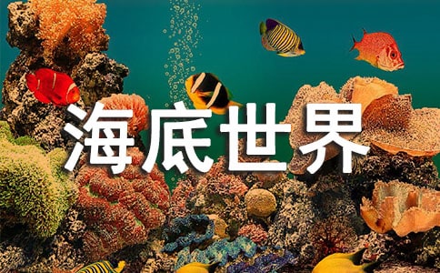 [��Ʒ]������������