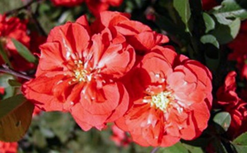 [���T]�������f����8ƪ