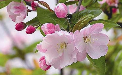 ���~�����^���600�փ�(y��u)������