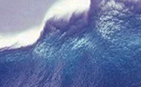 給海嘯災民的一封信