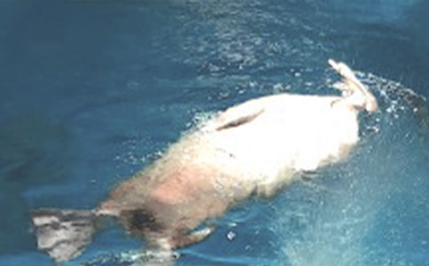 ����ۺ��󹫈@����