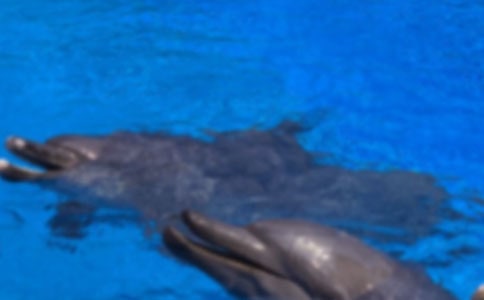 �{(l��n)ɫ�ĺ����u�x���