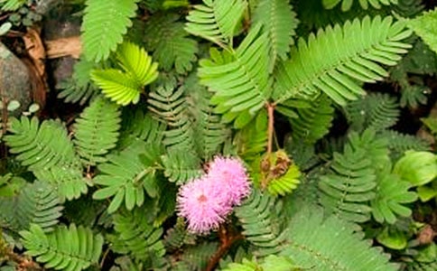 ����(y��u)�x�����߲�����15ƪ