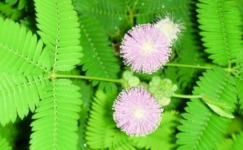 �����x�����߲�����