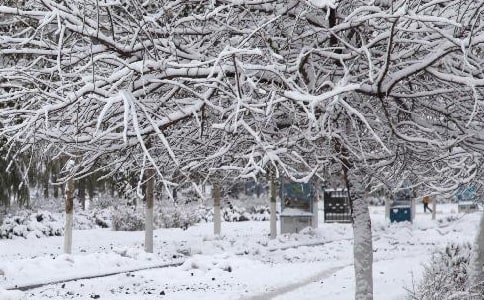 ����ʩ��������ͨ��13ƪ��