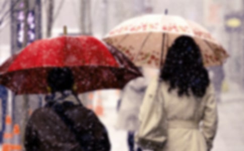 �ط����������