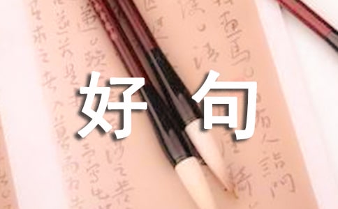 ��Ҋ��þ��Ӽ��DƬ��ȫ