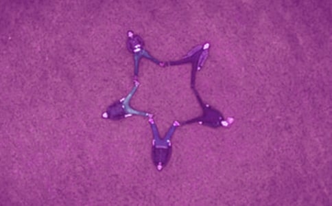 �ҵĺ�������[��15ƪ]