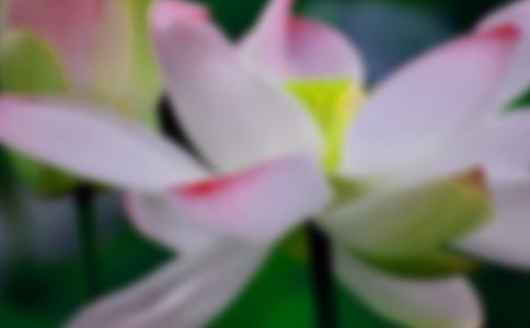 ���P(gu��n)�ɻ���Ԋ��