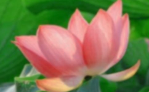 ٝ���ɻ���Ԋ��