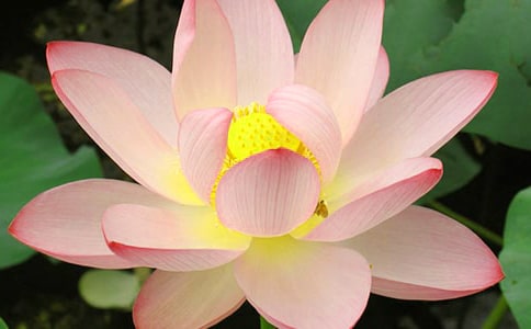 �茑ٝ���ɻ���Ԋ(sh��)��