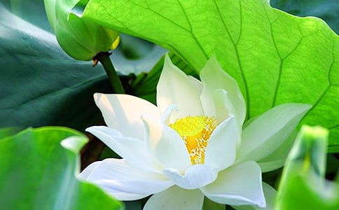 ٝ���ɻ���Ԋ(sh��)���Ԋ(sh��)