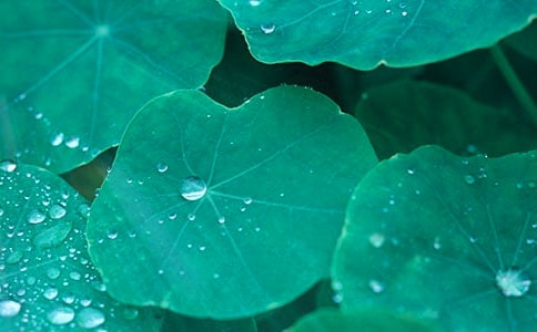 ���~����