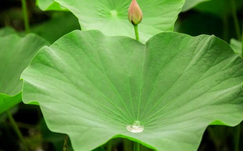 ���~������15ƪ�����ã�