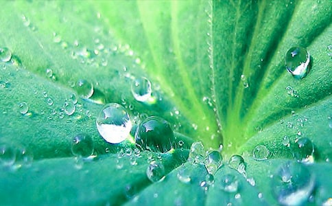 ���~�ĊW������