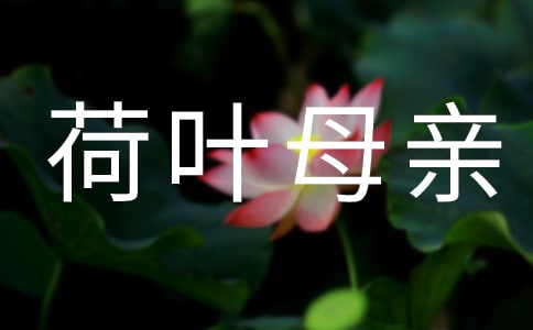 荷葉母親教案