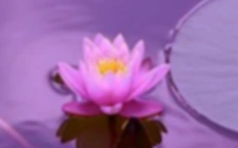 文明和諧手抄報
