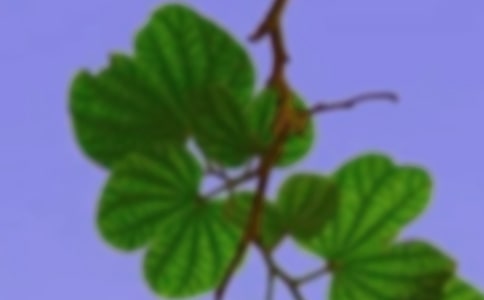 ��?y��n)���C�����Կ옷(l��)����
